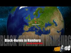 hornis - Black-Hornis steht ihre Frau